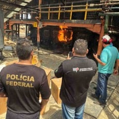 Cerca de 870 kg de drogas são incineradas pela Polícia Federal no Norte da Bahia