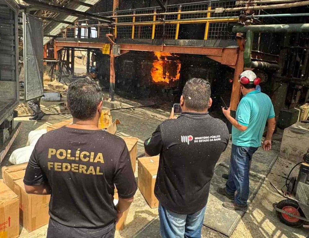 Cerca de 870 kg de drogas são incineradas pela Polícia Federal no Norte da Bahia Cerca de 870 kg de drogas são incineradas pela Polícia Federal no Norte da Bahia