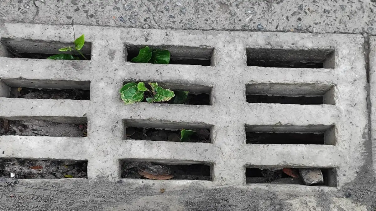 Após fortes chuvas, lama toma conta de ruas no bairro Cidade Nova; moradores cobram limpeza e esgotamento sanitário na região