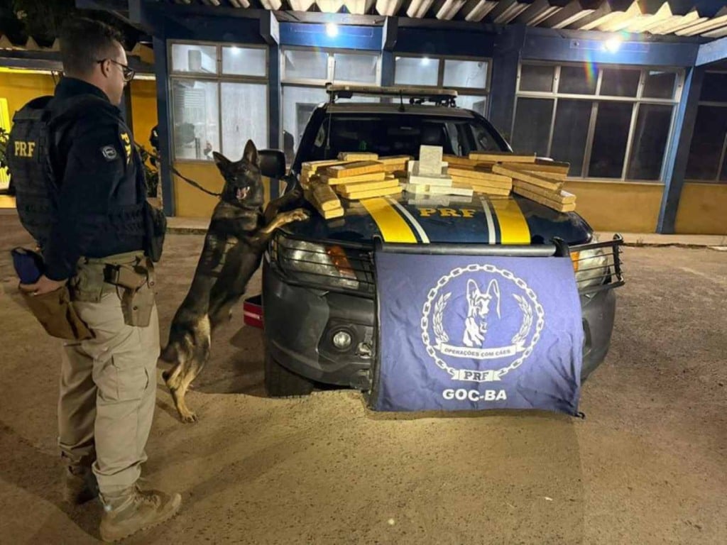 Abordagem a ônibus na BR-116 resulta na apreensão de mais de 34 Kg de drogas pela PRF