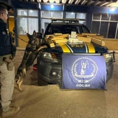 Abordagem a ônibus na BR-116 resulta na apreensão de mais de 34 Kg de drogas pela PRF