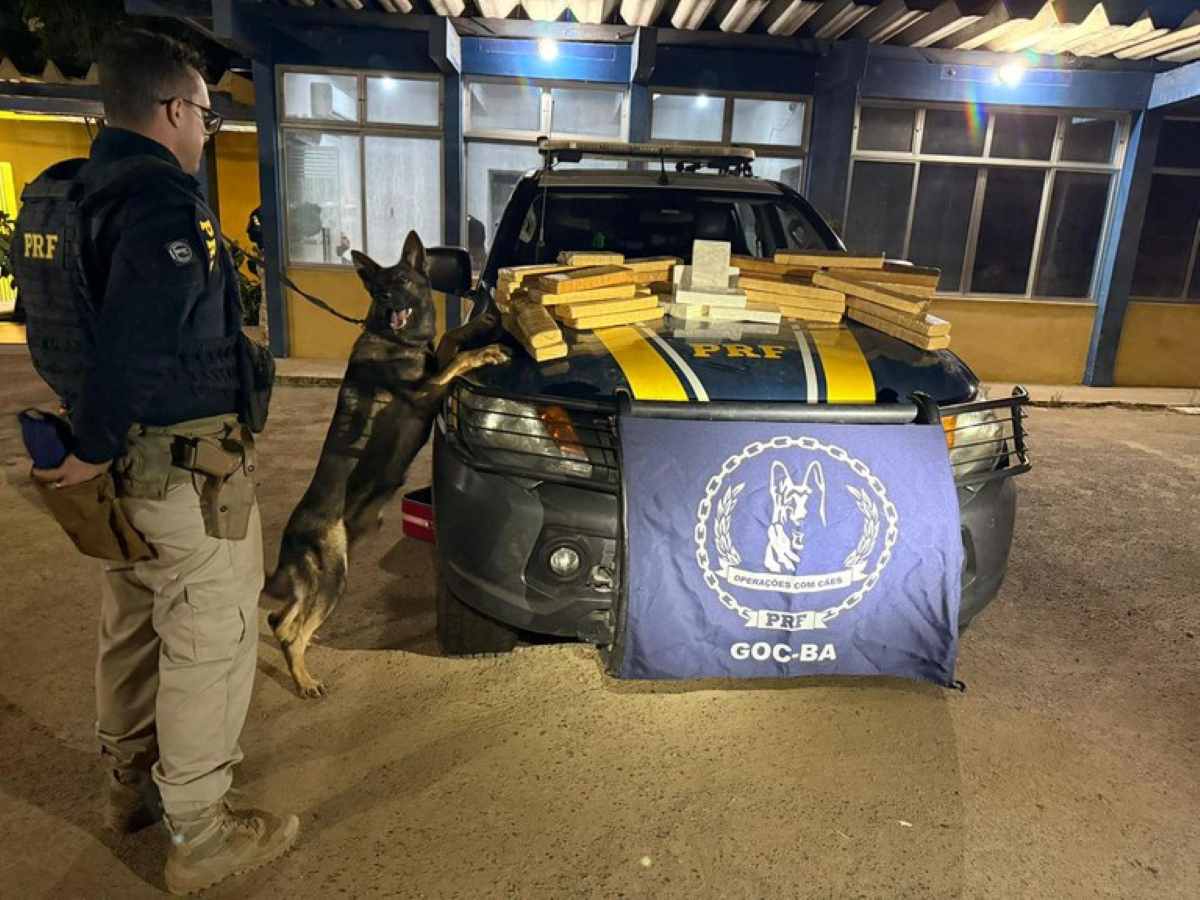 Abordagem a ônibus na BR-116 resulta na apreensão de mais de 34 Kg de drogas pela PRF