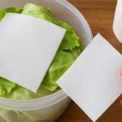 Descubra por que colocar papel toalha no pote de alface faz ela durar mais