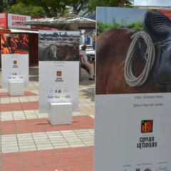 Exposição Cenas Urbanas