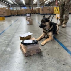 Operação no Centro de Distribuição dos Correios em Simões Filho apreende arma e drogas