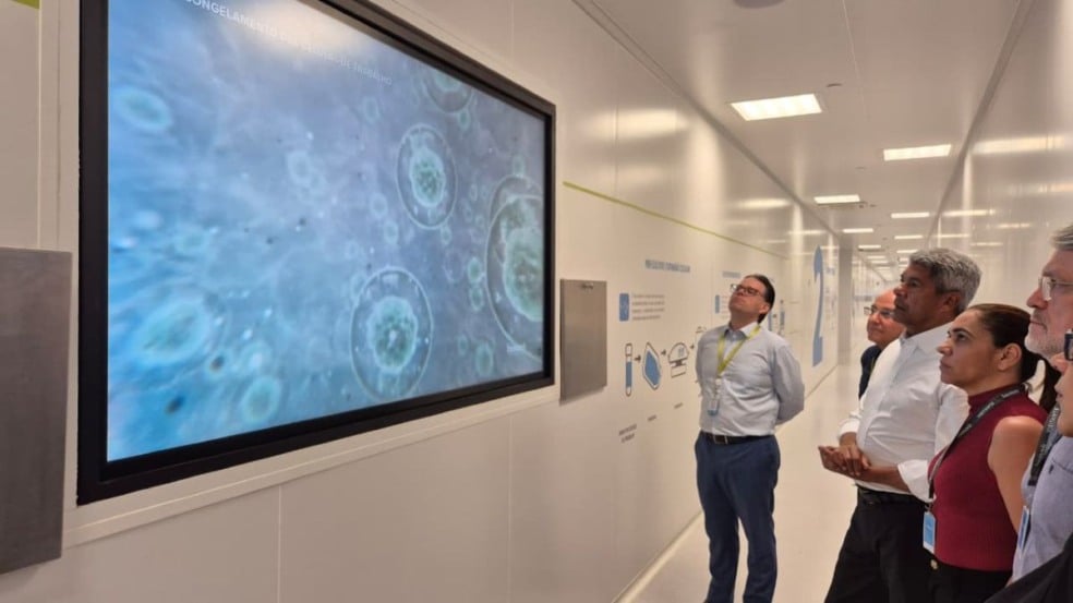 Bahia vai produzir quatro medicamentos para tratamento de câncer e doenças raras