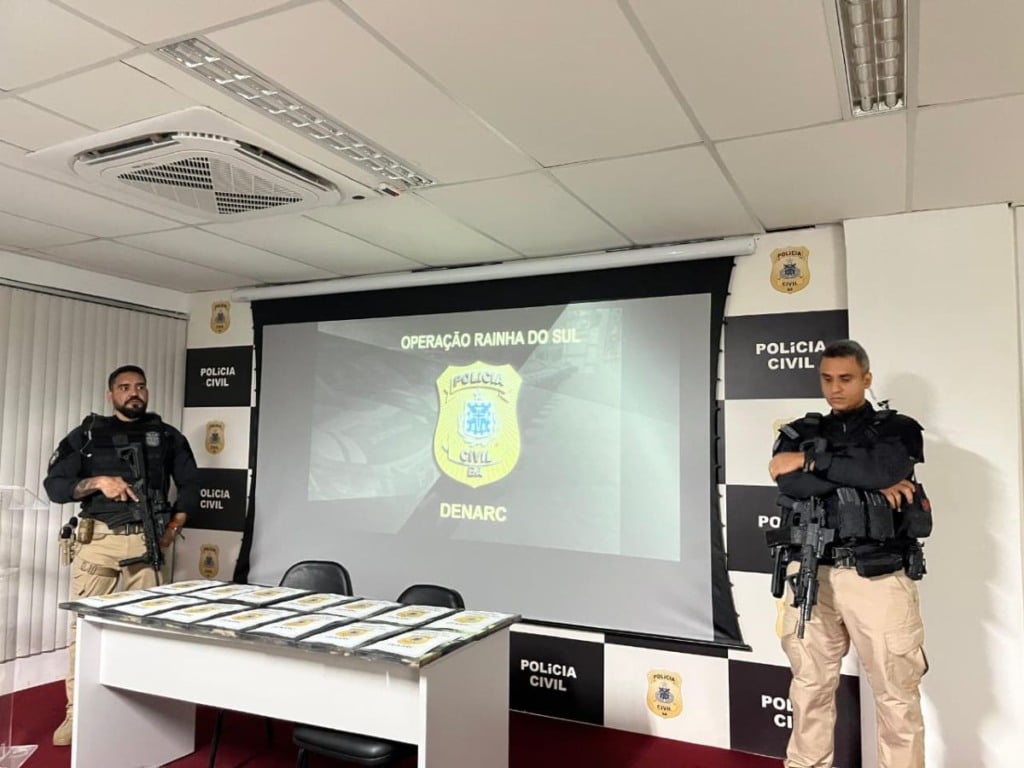 Operação rainha do sul