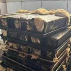 Padaria é interditada pela Vigilância Sanitária