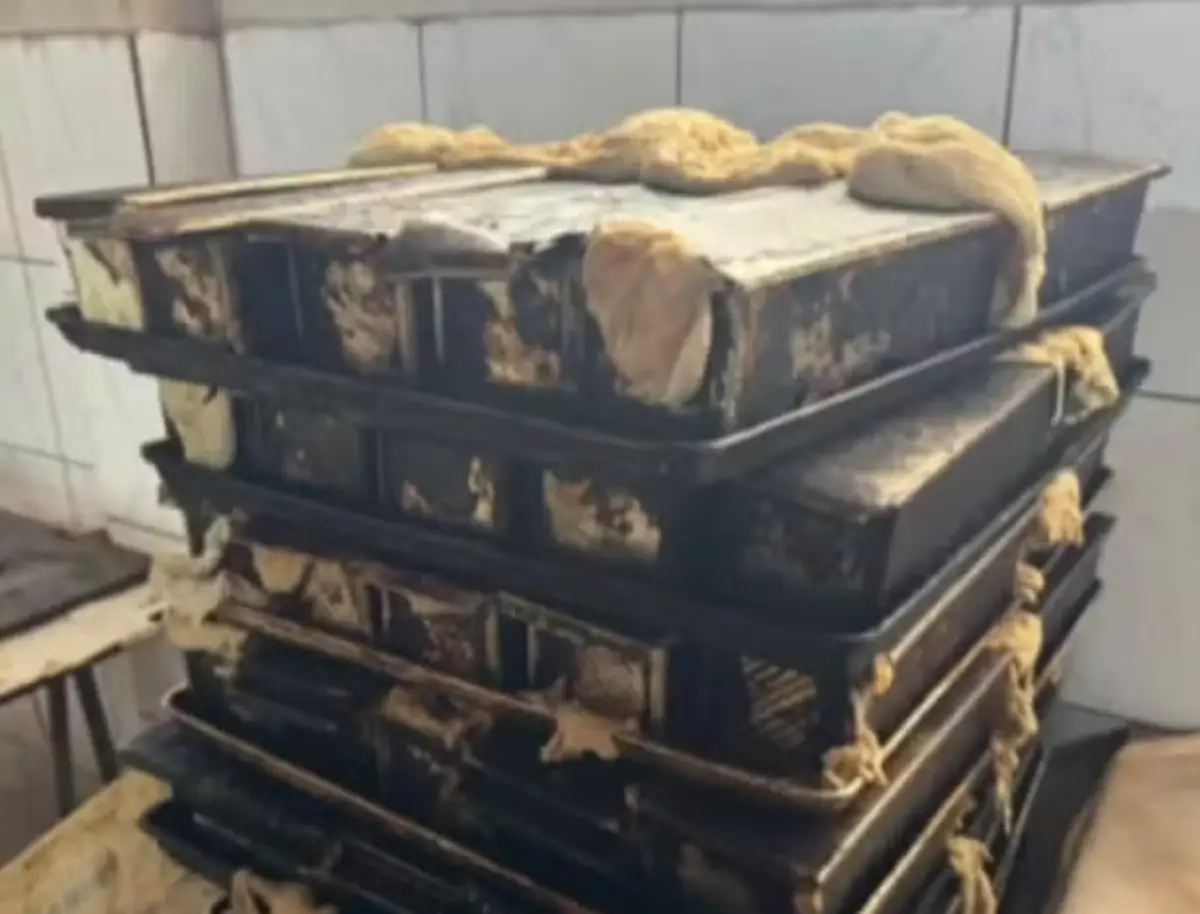 Padaria é interditada pela Vigilância Sanitária