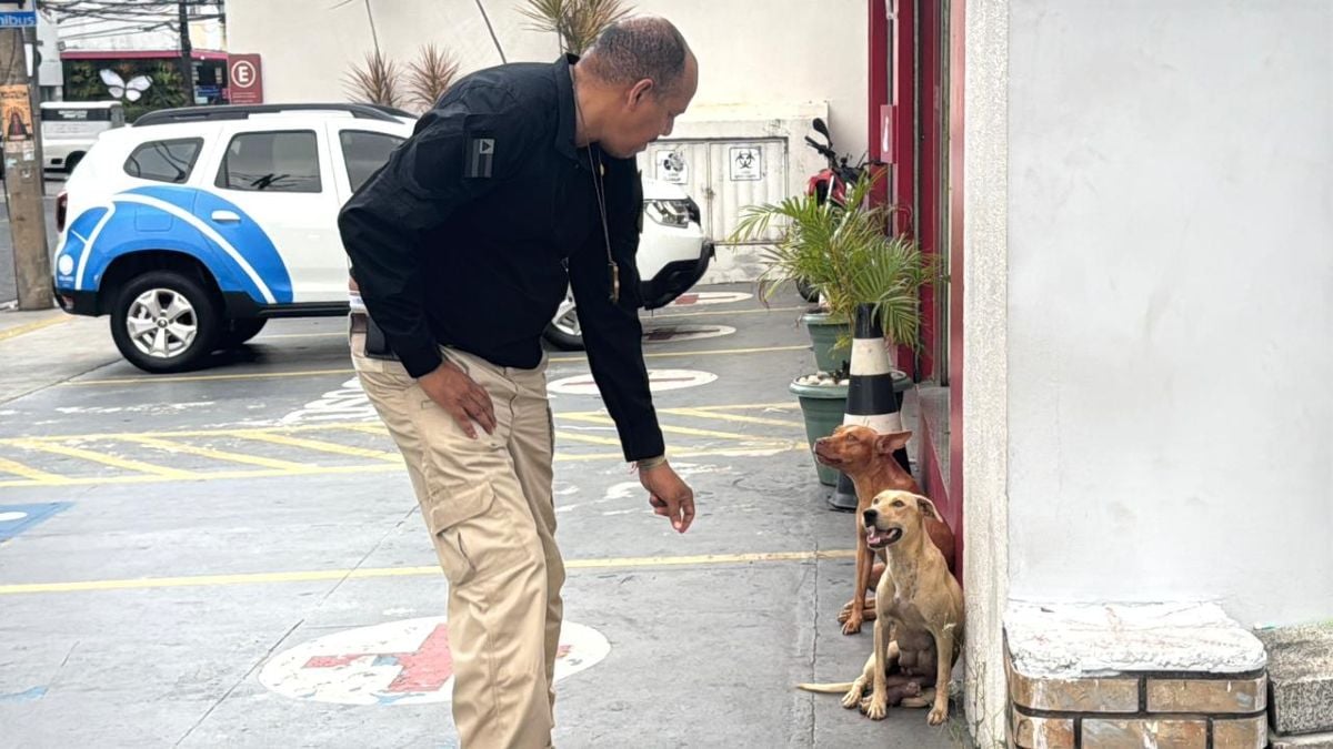 Polícia Civil prende suspeito de usar cães para atacar pessoas em Salvador