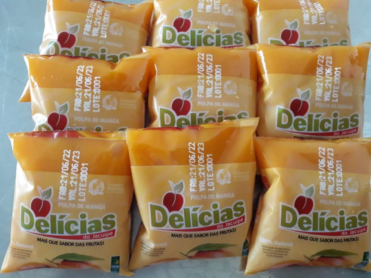 Iniciativas do Semiárido baiano serão destaque na COP-30