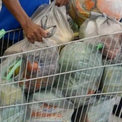 Promulgada lei que obriga uso de sacolas plásticas recicláveis no comércio de Feira