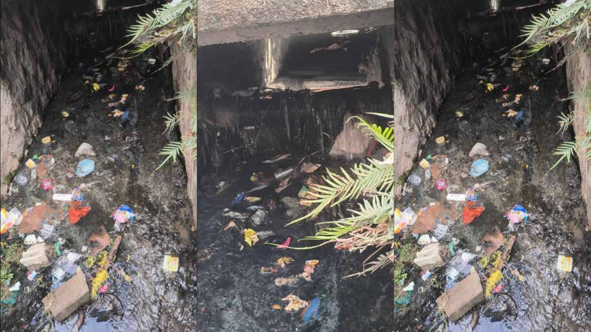 Rua Teixeira no loteamento Monte Pascoal no bairro Calumbi