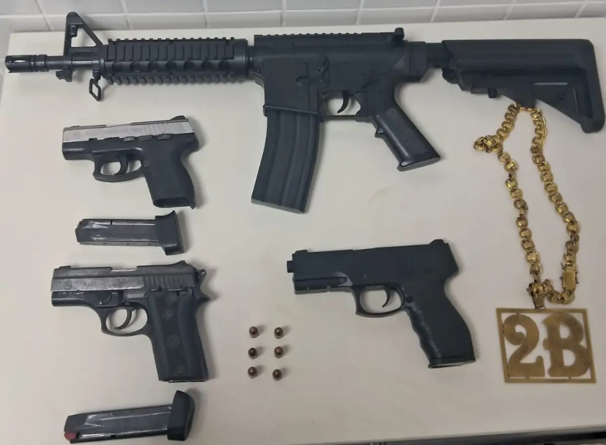 apreensão de arma de fogo