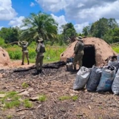 apreensão de carvão irregular