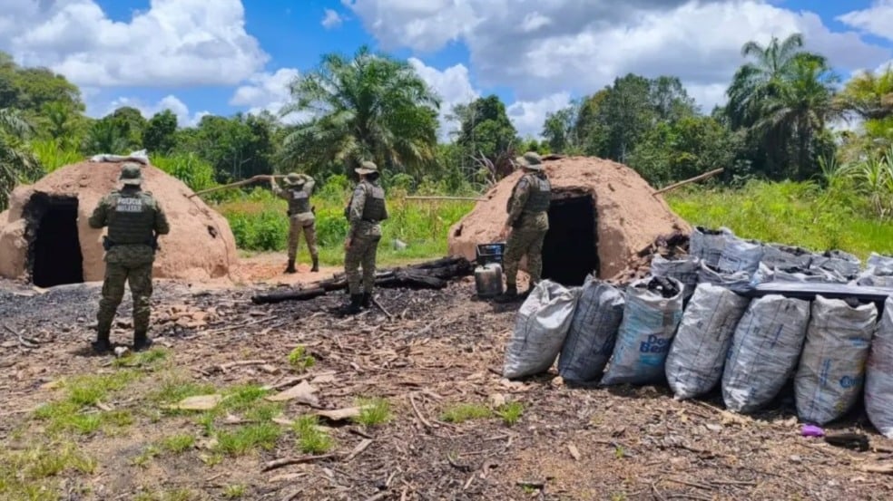 apreensão de carvão irregular