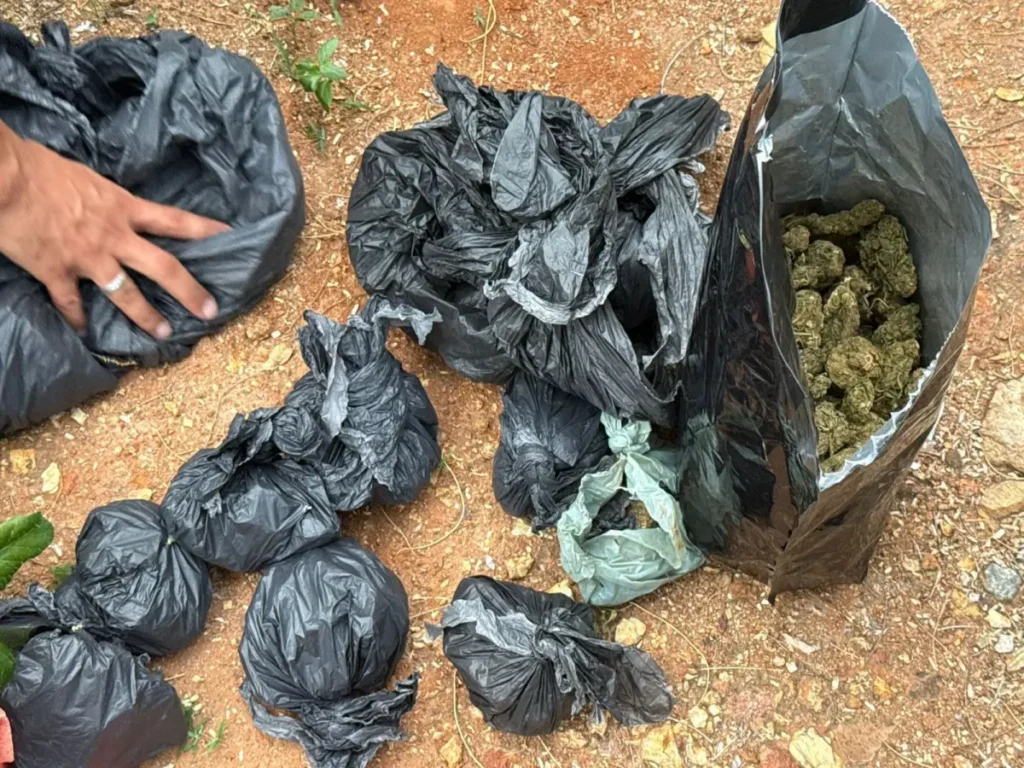 Polícia Civil realiza ações de combate ao tráfico de drogas em Jequié e Feira de Santana Polícia Civil realiza ações de combate ao tráfico de drogas em Jequié e Feira de Santana