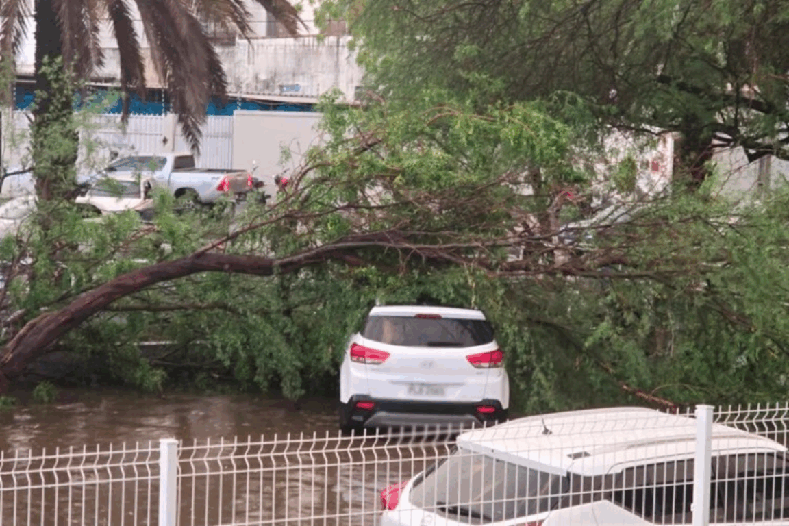 fortes chuvas em Guanambi