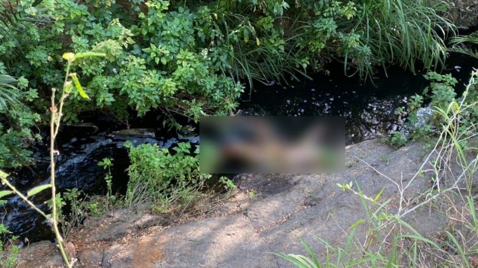 Foto: Reprodução Foto: Reprodução