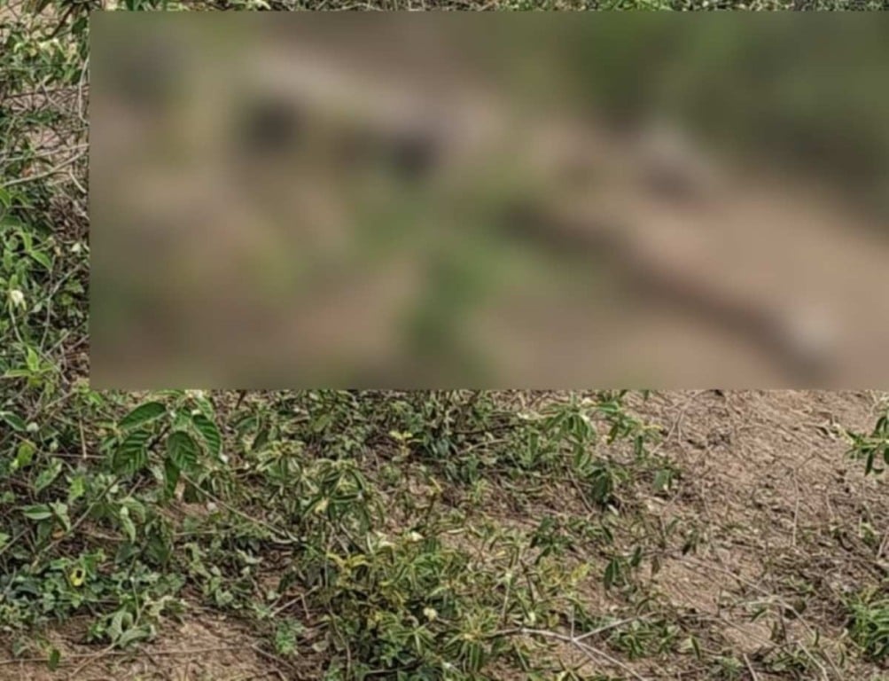 Corpo em decomposição