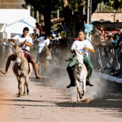 corrida de jegue afligidos