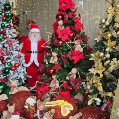 Clima de Natal já aquece o comércio de Feira de Santana: expectativa é de aumento nas vendas