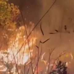 Incêndio de grandes proporções atinge região de Mucugê na Chapada Diamantina