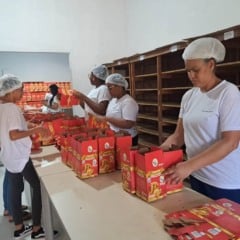 Dispensário Santana reforça tradição de mais de 20 anos com produção de panetones natalinos