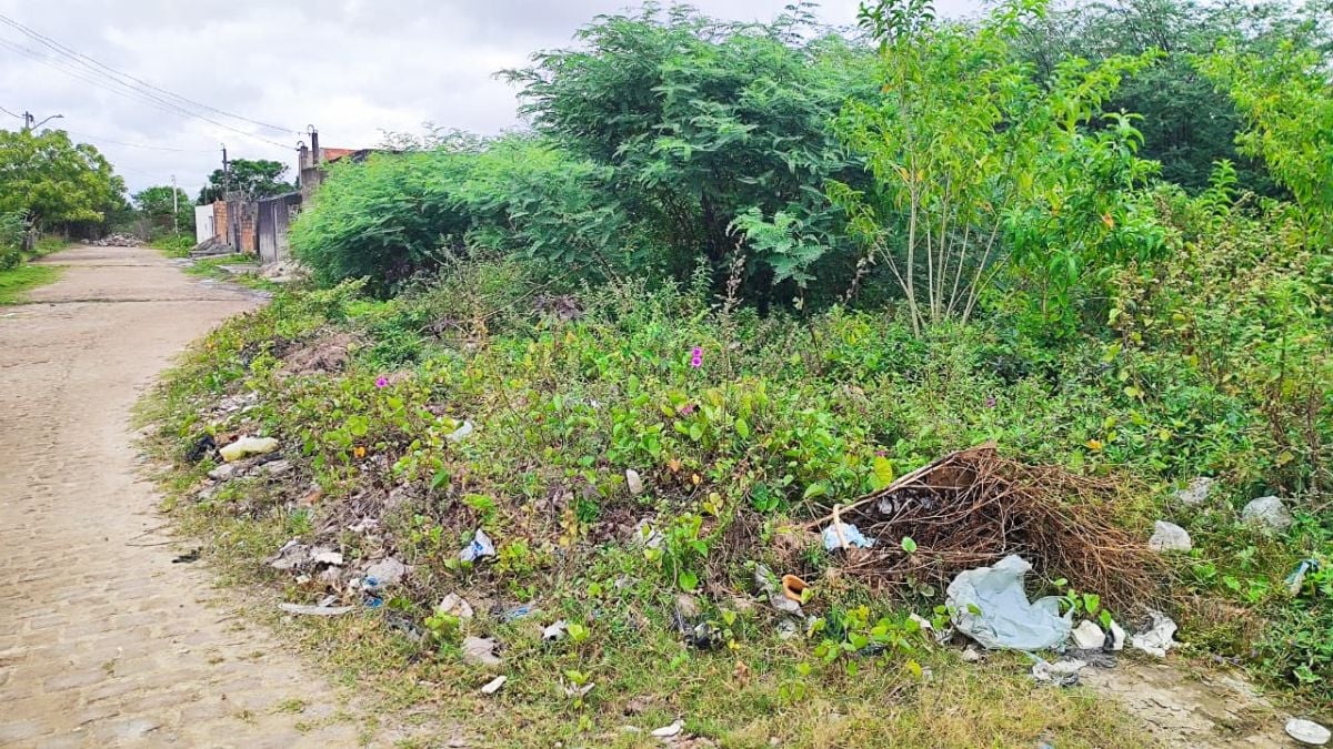 acumulo de lixo em terrenos do bairro campo limpo em feira de Santana