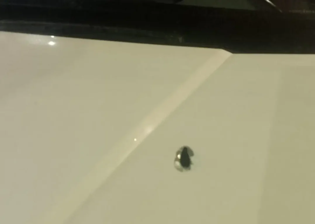 mulher baleada na Artêmia