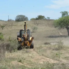 nova creche em Bonfim de feira