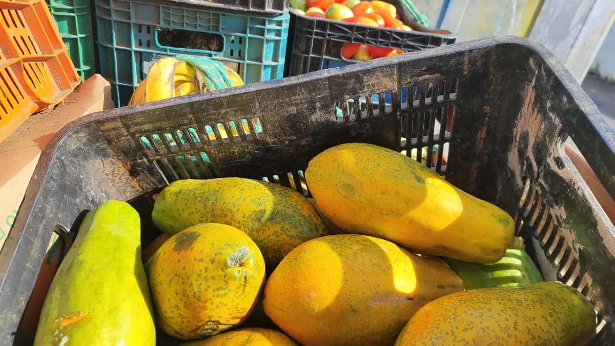 Centro de Abastecimento