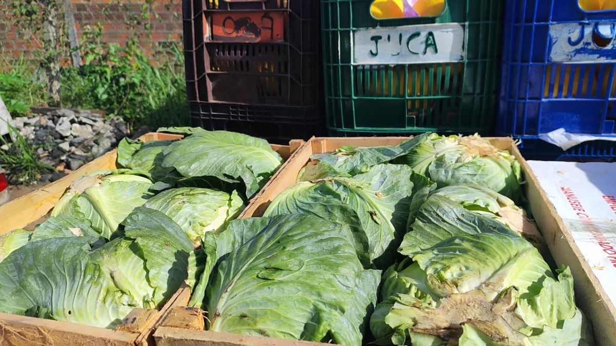 Centro de Abastecimento