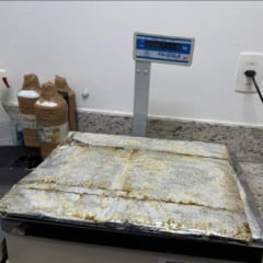Mulher é presa com cerca de 4 kg de cocaína no Aeroporto de Salvador; droga seria levada para Paris
