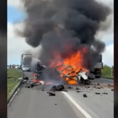 Colis&atilde;o entre ve&iacute;culos deixa nove mortos na BR-101, no Sul da Bahia