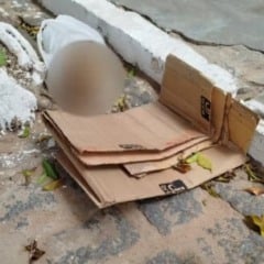 Cr&acirc;nio &eacute; encontrado em Inhambupe; pol&iacute;cia investiga rela&ccedil;&atilde;o com furto em cemit&eacute;rio