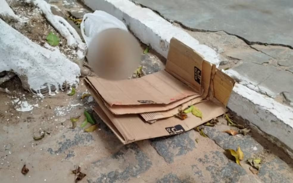 Crânio é encontrado em Inhambupe; polícia investiga relação com furto em cemitério Crânio é encontrado em Inhambupe; polícia investiga relação com furto em cemitério