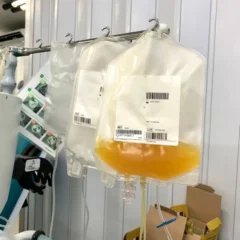 Hemoba promove campanha para ampliar doações de plaquetas