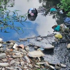 Esgoto no bairro Calumbi