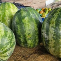 Feirinha da Estação Nova | Foto: Paulo José/ Acorda Cidade