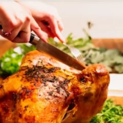 infec&ccedil;&atilde;o na cozinha