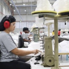 Inaugurada nova fábrica em Feira de Santana; unidade deve gerar mais de 2 mil empregos