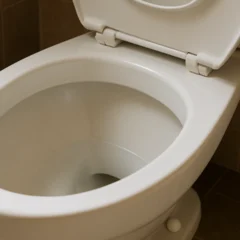 O erro comum ao limpar o vaso sanitário que espalha sujeira invisível pelo banheiro