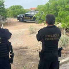 Polícia Federal deflagra operação para investigar disseminação de doença em espécie ameaçada de extinção