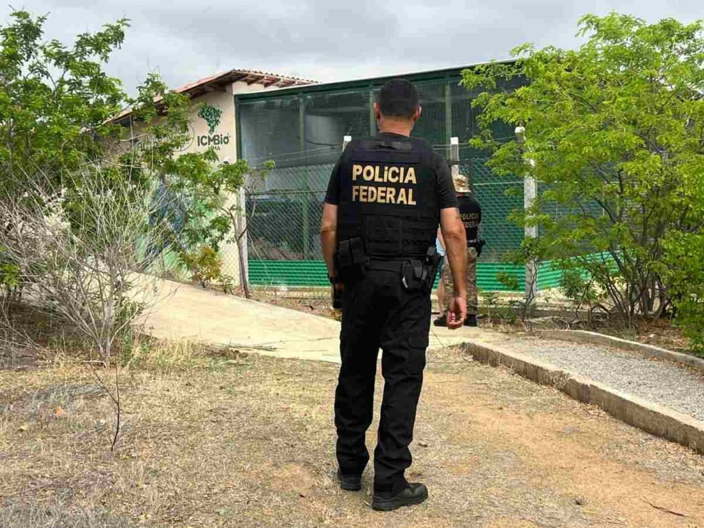 Polícia Federal deflagra operação para investigar disseminação de doença em espécie ameaçada de extinção