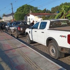 Opera&ccedil;&atilde;o desarticula grupo criminoso em Am&eacute;lia Rodrigues