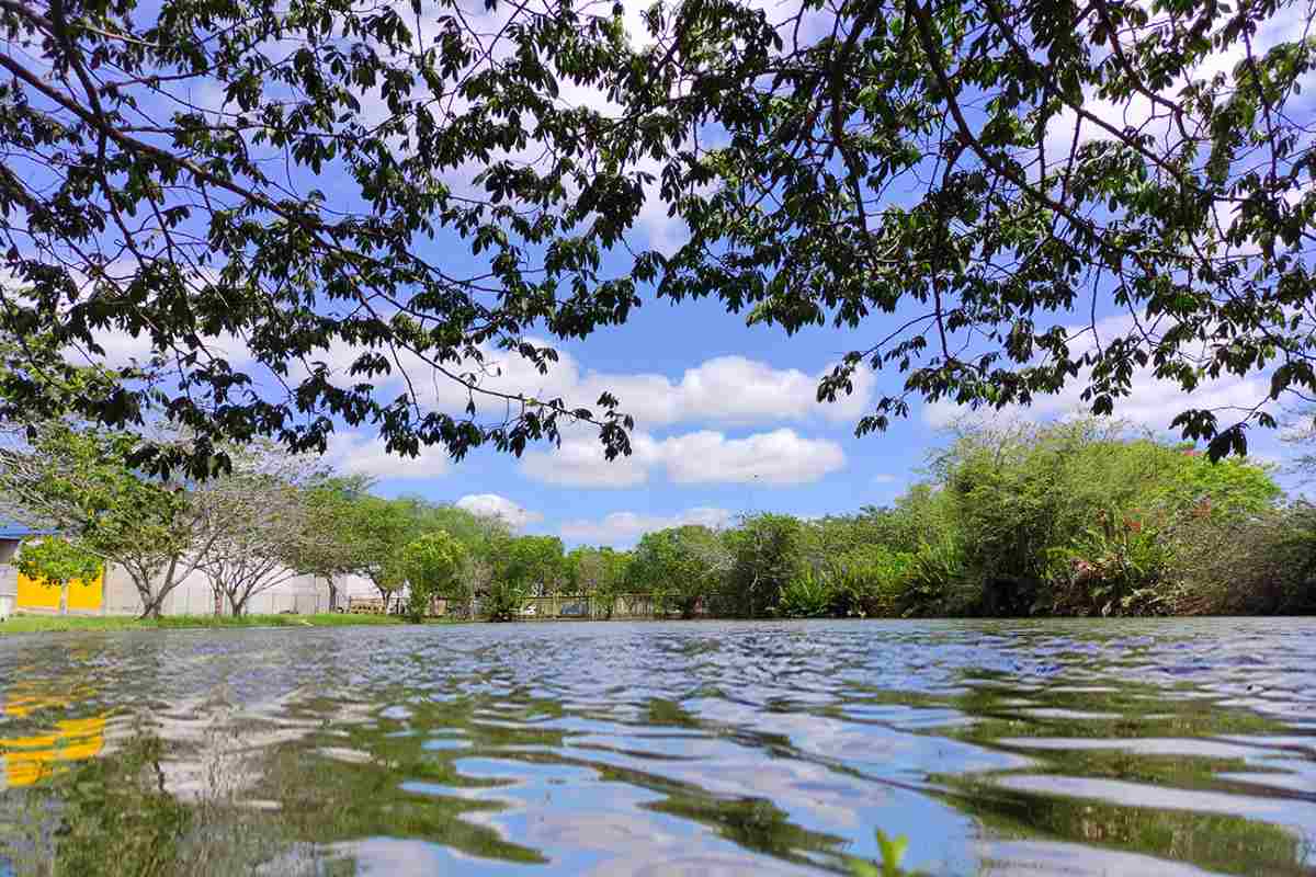 Parques da Lagoa e da Cidade terão funcionamento especial durante o fim de ano Parques da Lagoa e da Cidade terão funcionamento especial durante o fim de ano