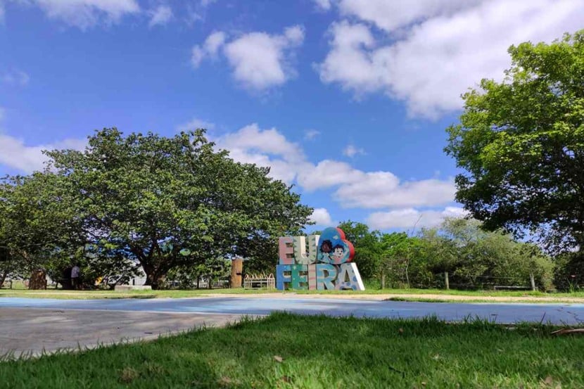 Parques da Lagoa e da Cidade terão funcionamento especial durante o fim de ano