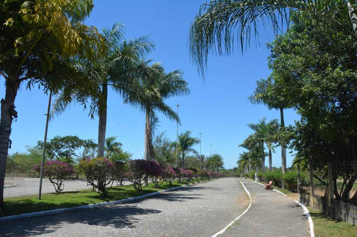 Parques da Lagoa e da Cidade terão funcionamento especial durante o fim de ano Parques da Lagoa e da Cidade terão funcionamento especial durante o fim de ano