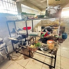 Vigil&acirc;ncia Sanit&aacute;ria interdita pasteleira por condi&ccedil;&otilde;es insalubres